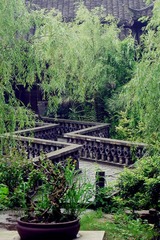 IMGP4223_