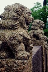 IMGP4242_