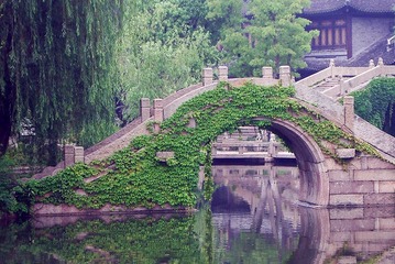 IMGP4295_