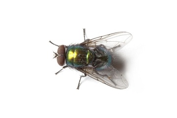 imgp4323_