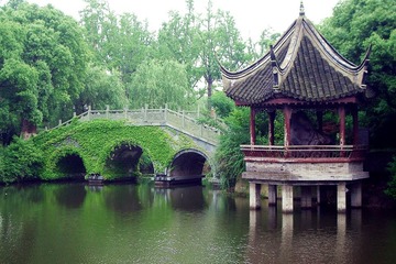 IMGP4285__