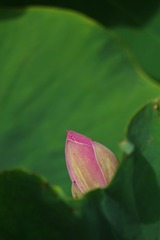 1000006166