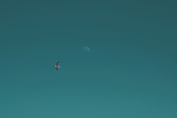001