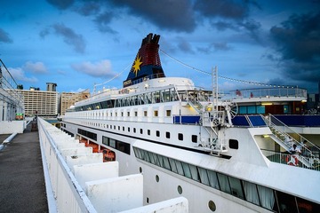 30527890