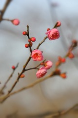 1340206