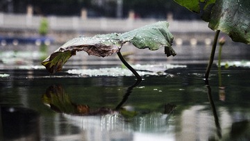 5P1377031