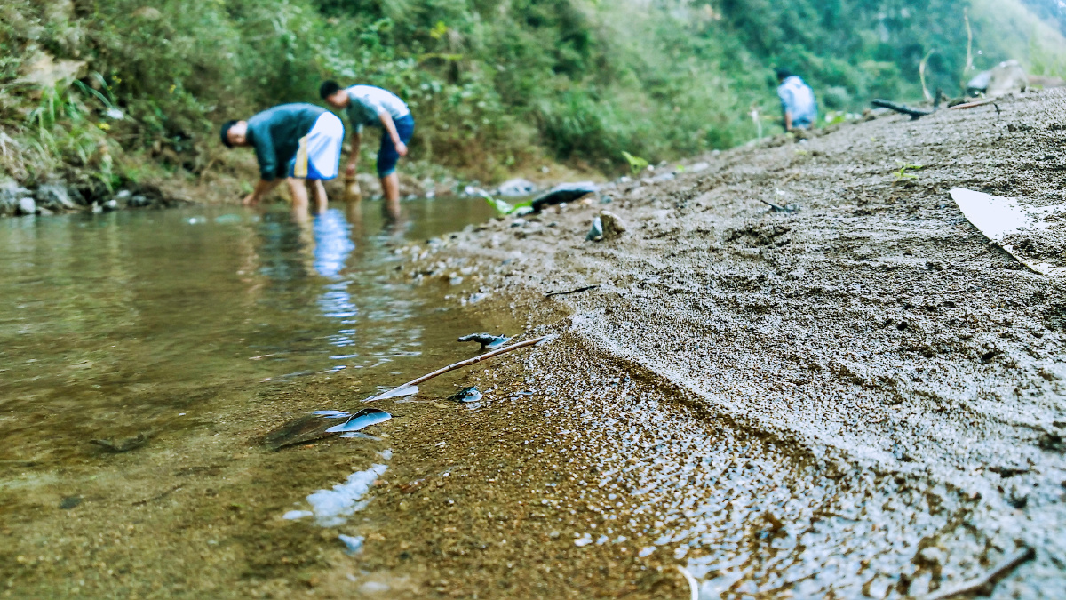 趁热夏去热爱一起河边抓鱼吧