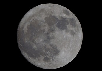 278583