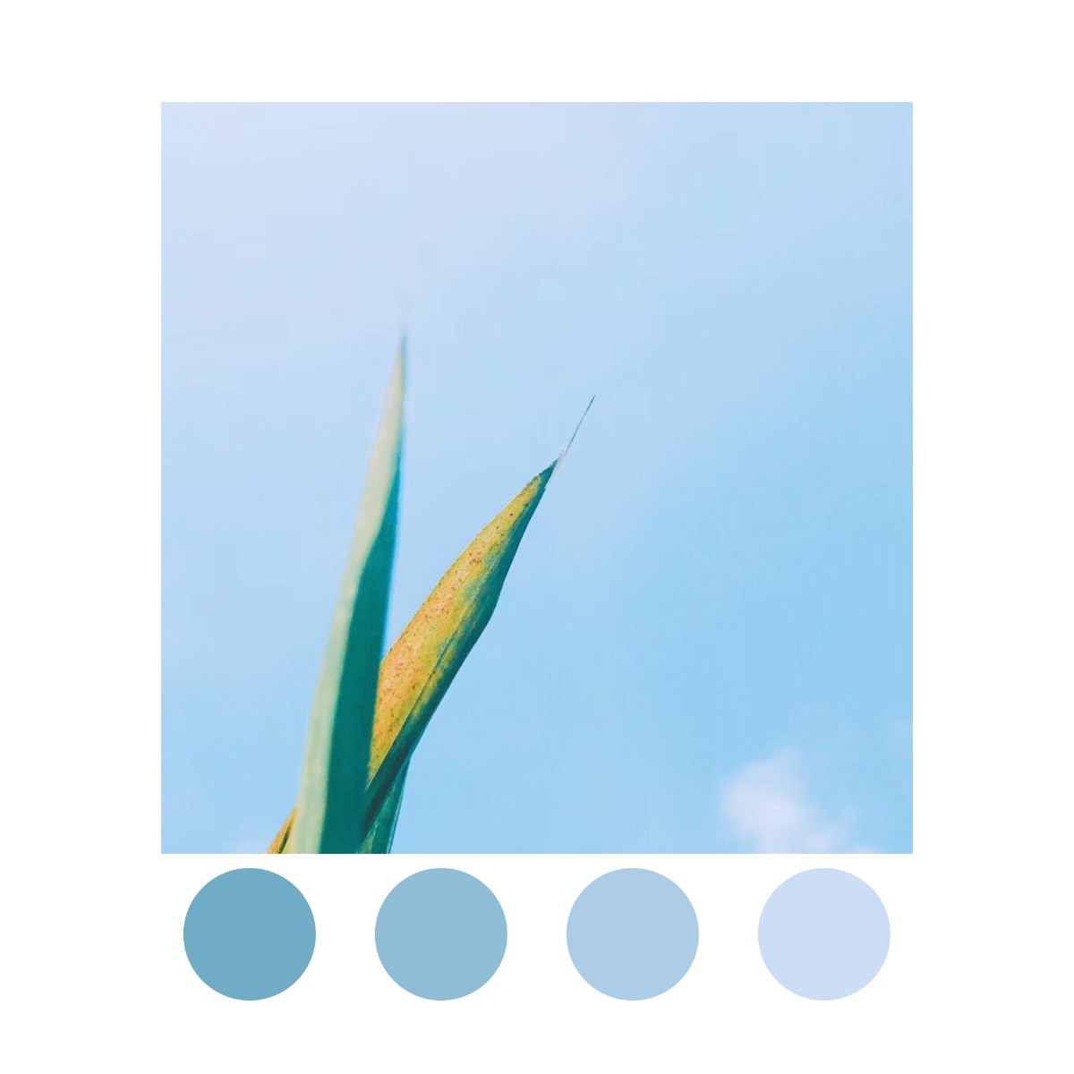 神的孩子都在跳舞啊