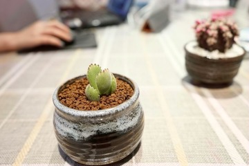 熊孩子