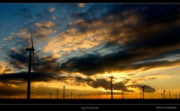 _DSC5037