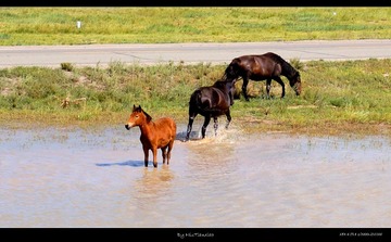 _DSC5215