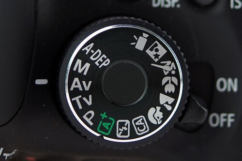 21923682.jpg