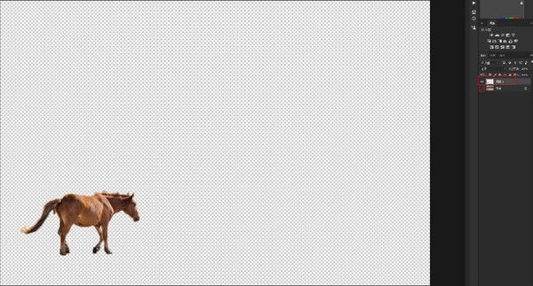 21926538.jpg