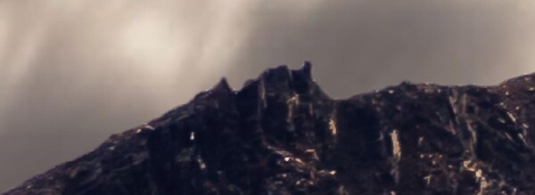 21926566.jpg