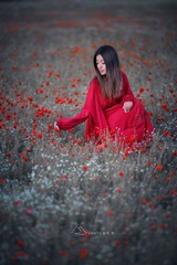 花仙子