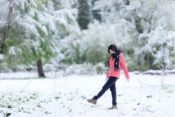 雪中心情