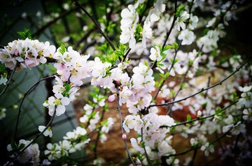 IMGP0395_