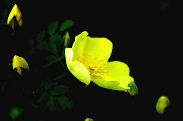 IMGP0980_
