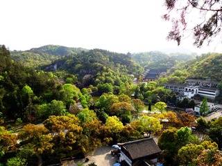 复件 DSC01159