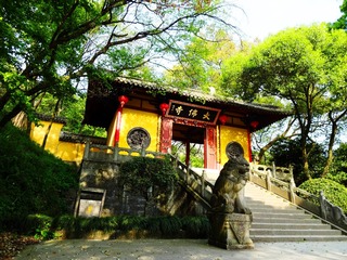 复件 DSC01161