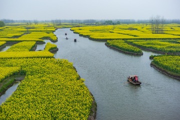 M0002508