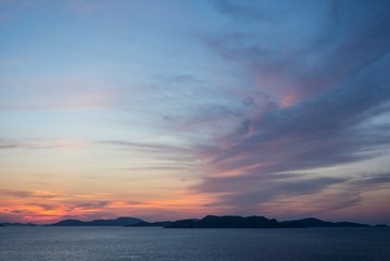 M0004299