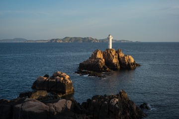 M0004391