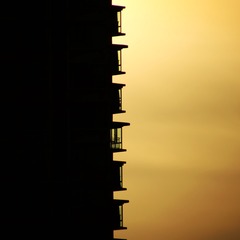 1202041