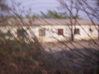 1000024831
