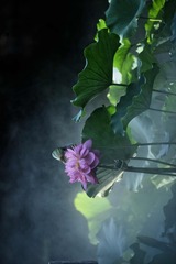 001