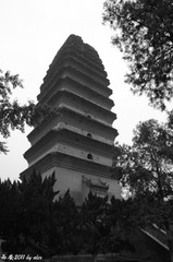 _IGP1091-1.jpg