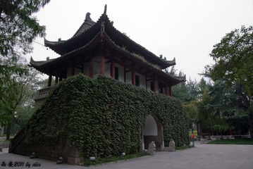 _IGP1123-1.jpg