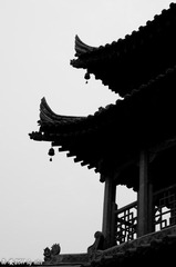 _IGP1079-1.jpg
