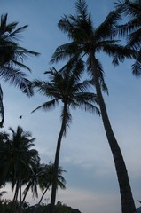 _IGP2768-1.jpg