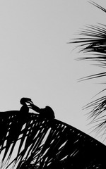 _IGP2795-1.jpg