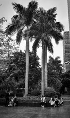 60F09A8F-9467-4E7B-BBAD-8C4AC3DF0F0A/L0/001