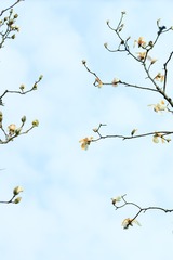 122058