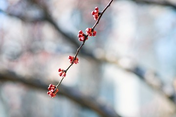 122050