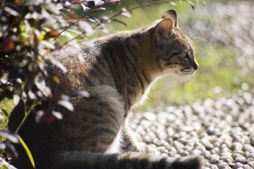 IMG_0892_1