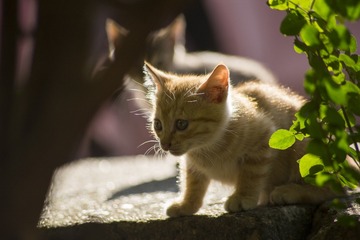 IMG_1059_1