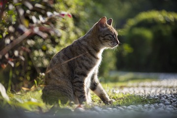 IMG_1116_1