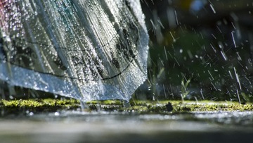 IMG_8481_1