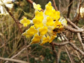 IMG_20180308_114551