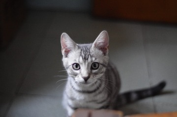 366637