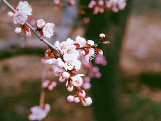 3F50AA64-2AA8-452E-B213-B45D268C61D6/L0/001