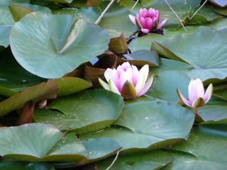P1000856