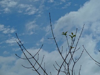 P1000906