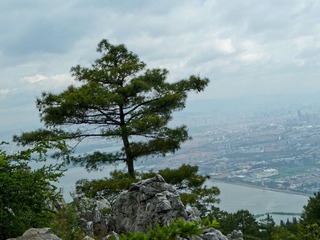 P1000916
