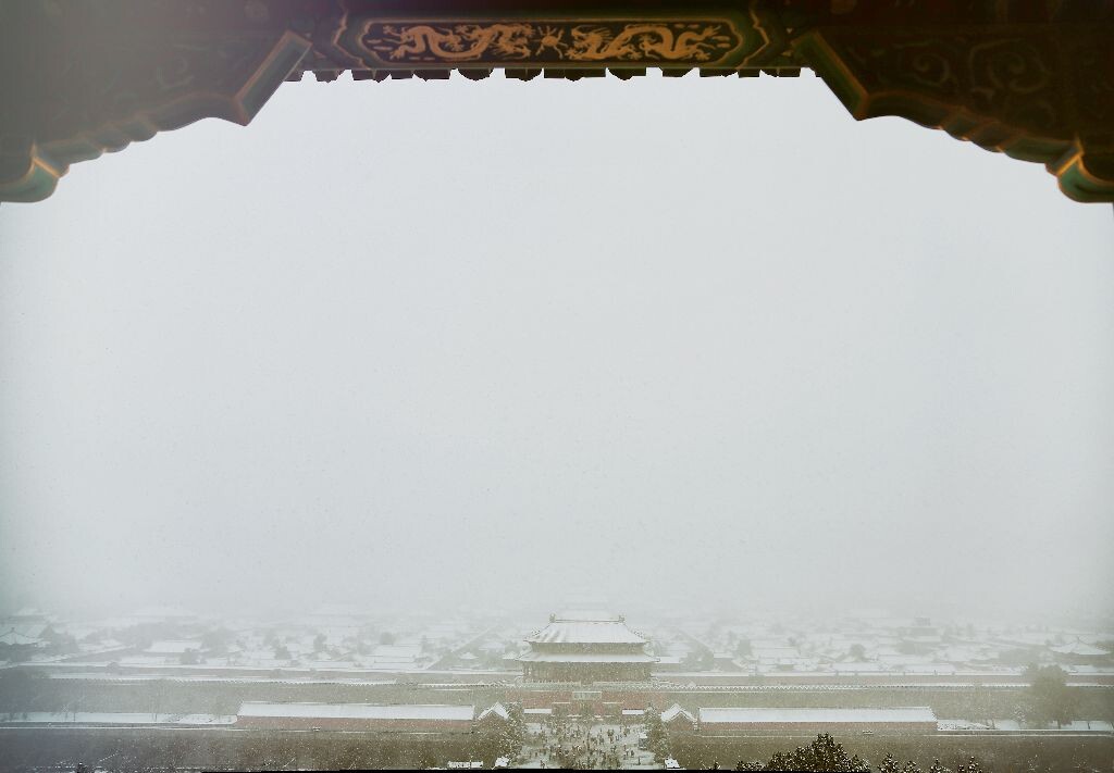 为了一睹雪中故宫全景 拼命挤进了人群 留下这证件照